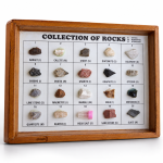 Collection of 20 Rocks